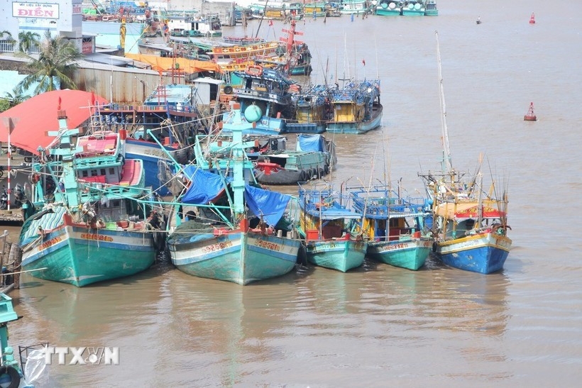 Nghe An tightens monitoring of fishing vessels to address IUU “yellow card”